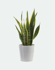 Artificial potted plant