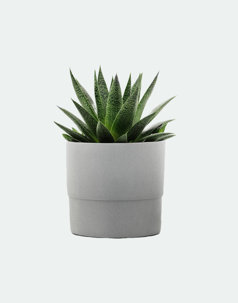 Artificial potted plant