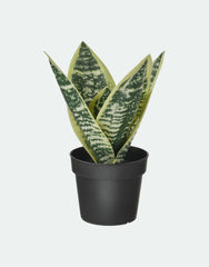 Artificial potted plant