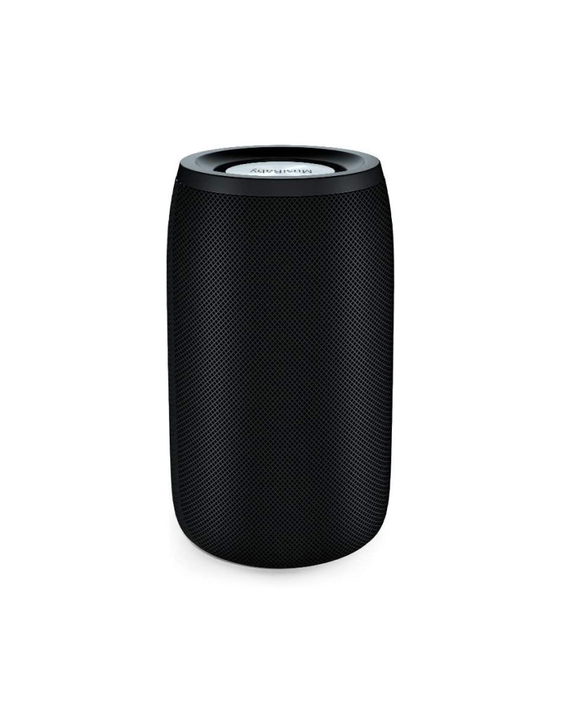 Wireless speaker dual pairing bluetooth 5.0