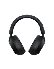 Link headphone WiFi 6 mesh