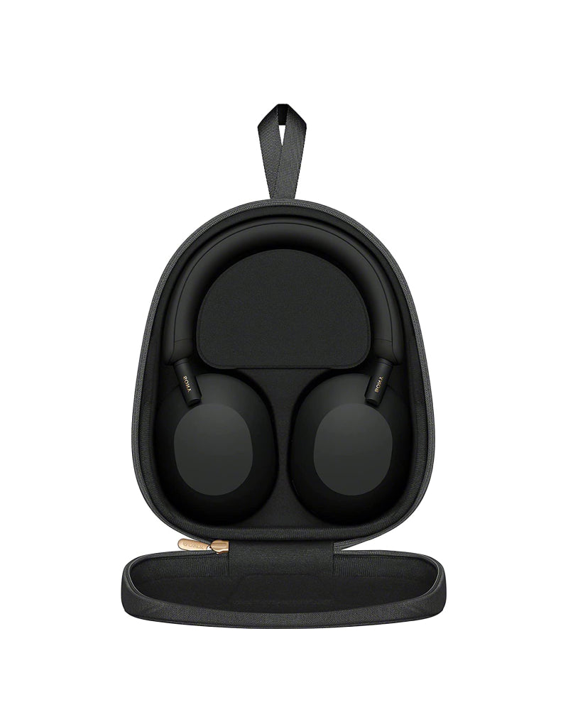 Link headphone WiFi 6 mesh