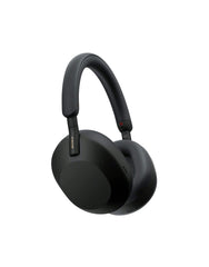 Link headphone WiFi 6 mesh